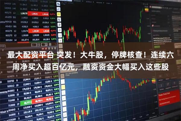 最大配资平台 突发！大牛股，停牌核查！连续六周净买入超百亿元，融资资金大幅买入这些股