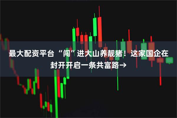 最大配资平台 “闯”进大山养靓猪！这家国企在封开开启一条共富路→